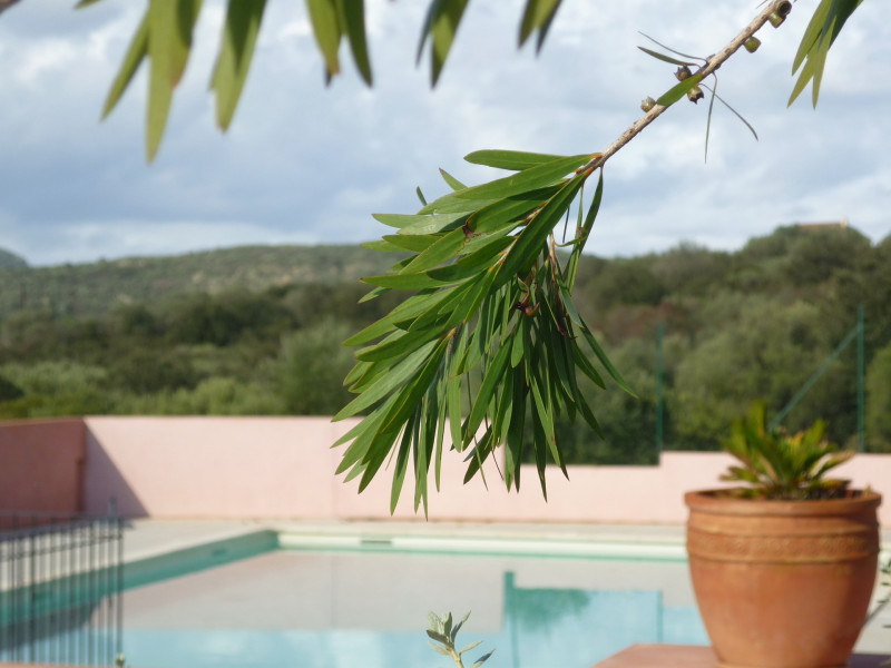 La Listra Parc Résidentiel à Losari La Listra Parc Résidentiel à Losari