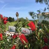 Vue depuis le jardin - © Anne Marie Orticoni Vue depuis le jardin