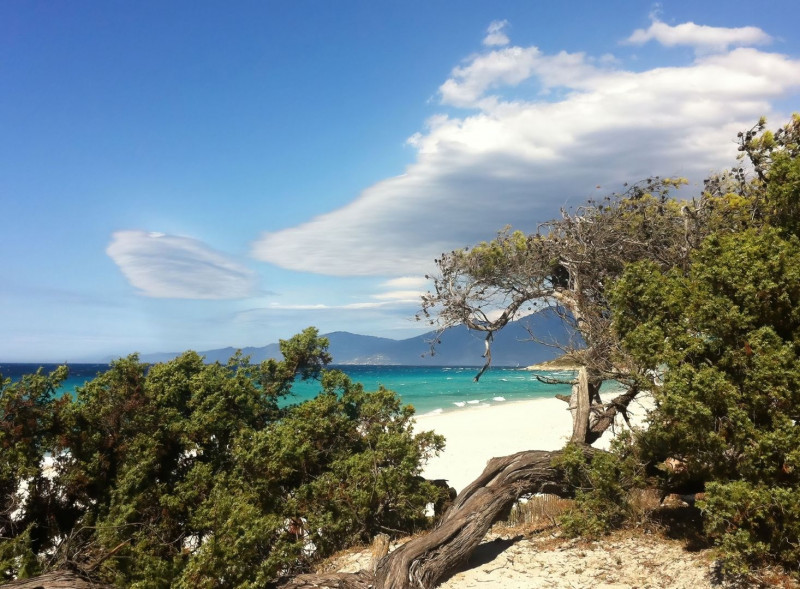 plage-saleccia1-copie-denoiseai-standard-9e4a375d-141906